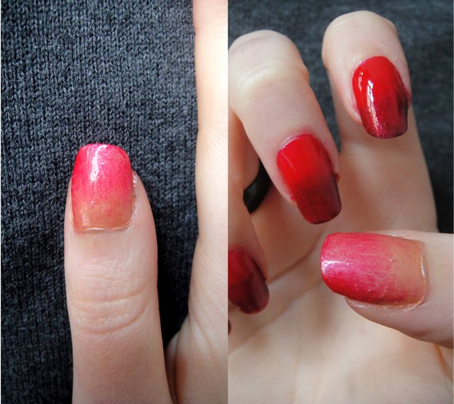 Ein Klaglicher Erster Versuch Ombre Nails Dafur Katze Vegan Beauty Blog