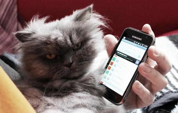 hello this is app cat vegan kosmetik android