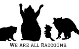 we are all raccoons body positive vegan thumbnail