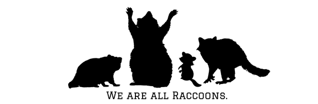 we are all raccoons body positive vegan