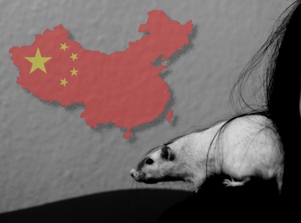 china animal testing tierversuche vegan cosmetics kosmetik 2014 requirements gesetz