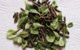 Haare Haarkur vegan diy handgemacht selbstgemacht handmade kosmetik Haarpflege Spülung Rinse Wildkräuter Birke Gänseblümchen Brennnessel