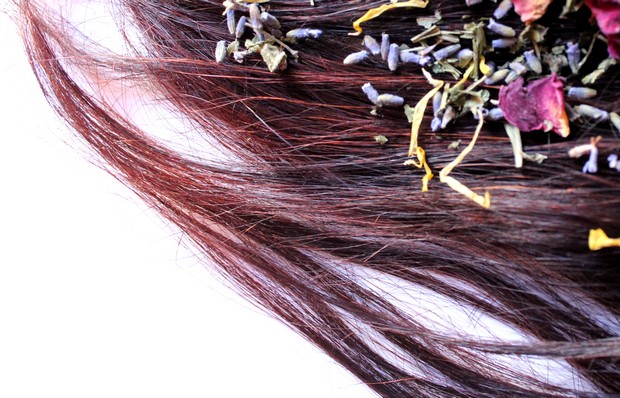 Alternative Haarwäsche Brennnessel DIY Haarspülung Kräuter Lavendel Melisse poo-free Rezept Ringelblume Rinse Rose selbstgemacht vegan 3
