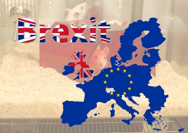brexit animal testing animal welfare vegan tierversuche tierschutz tierrecht kosmetik eu europäische union großbritannien