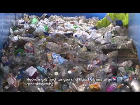 Ecover Ocean Plastic - saubere Meere, sauberes Essen, sauberes Geschirr