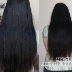 Poo free juli 2012 haare