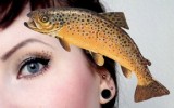 Fisch amu vegan salmo trutta trutta magi mania thumbnail