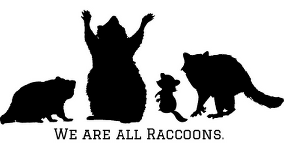 we are all raccoons body positive vegan thumbnail