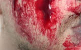 blut kunstblut diy selbst machen vegan vegetarisch anleitung rezept filmblut