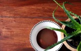 blut maske halloween diy handmade aloe beauty vegan do it yourself wein vine blood of 100 virgins Aloe arborescens