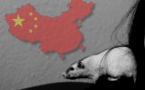china animal testing tierversuche vegan cosmetics kosmetik 2014 requirements gesetz
