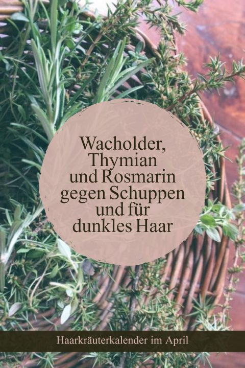 Haarkräuterkalender wachholder