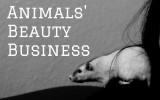animals beauty business waschbärenreport vegan tierversuche kosmetik