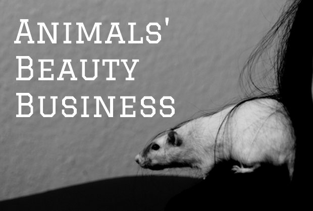 animals beauty business waschbärenreport vegan tierversuche kosmetik