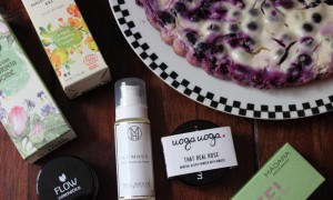 Hilla Naturkosmetik Event 2015 vegan erbse Blaubeerkuchen Rezept finnland