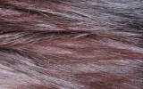 Radico Violett indigo henna anwendung tipp tricks vegan kosmetik pflanzen haare farbe lila schwarz längenbild