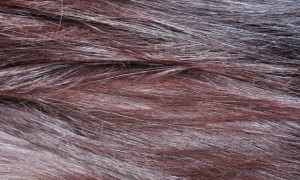 Radico Violett indigo henna anwendung tipp tricks vegan kosmetik pflanzen haare farbe lila schwarz längenbild