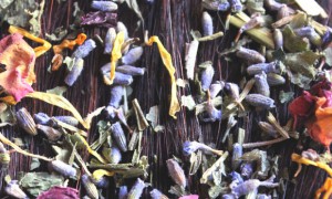 Alternative Haarwäsche Brennnessel DIY Haarspülung Kräuter Lavendel Melisse poo-free Rezept Ringelblume Rinse Rose selbstgemacht vegan 2
