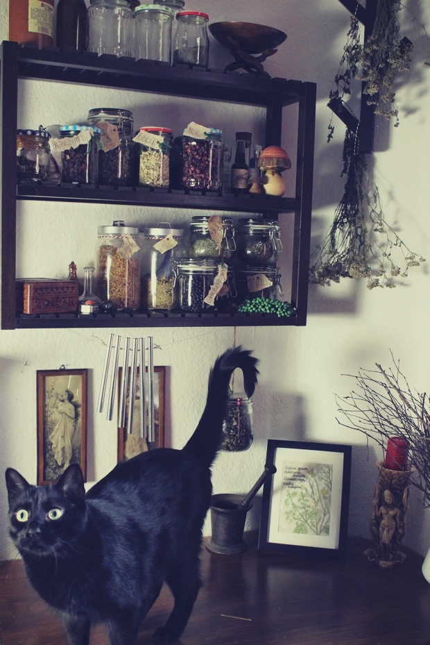 Kräuterecke witch hexe Kräuter vegan Kosmetik witchy beauty business herbs black cat schwarze katze jugendstil (4)