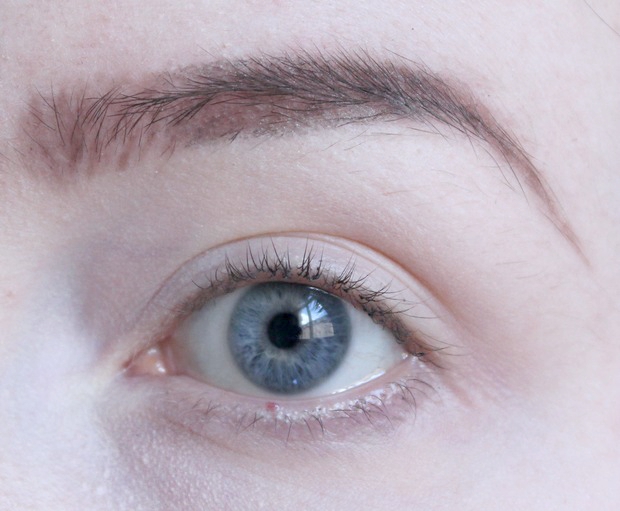 eyebrows on fleek Augenbrauen auffüllen vegan kosmetik tierversuchsfrei real techniques alverde lunatick cosmetic labs terra naturi Naturkosmetik 4