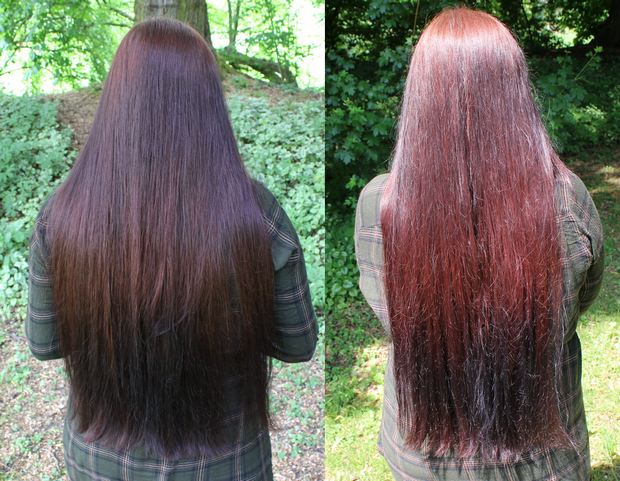 Blanc et Noir Erbse vegan kosmetik lange Haare Haarbande Waschbär henna