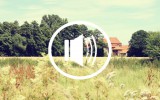 Audio podcast beauty kosmetik vegan erbse kühe spitzwegerich blogs