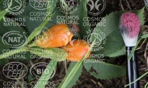 cosmos label naturkosmetik richtlinien regularien vorgaben vegan tierversuche soil bdih ecocert icea organic bio
