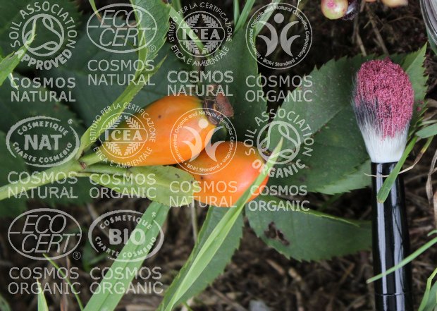 cosmos label naturkosmetik richtlinien regularien vorgaben vegan tierversuche soil bdih ecocert icea organic bio