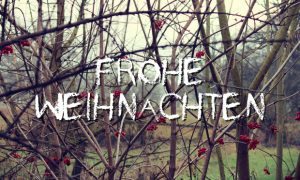 sababurg tierpark kassel hofgeismar dezember 2016 Burg 222