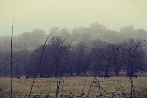 sababurg-tierpark-kassel-hofgeismar-dezember-2016-Burg