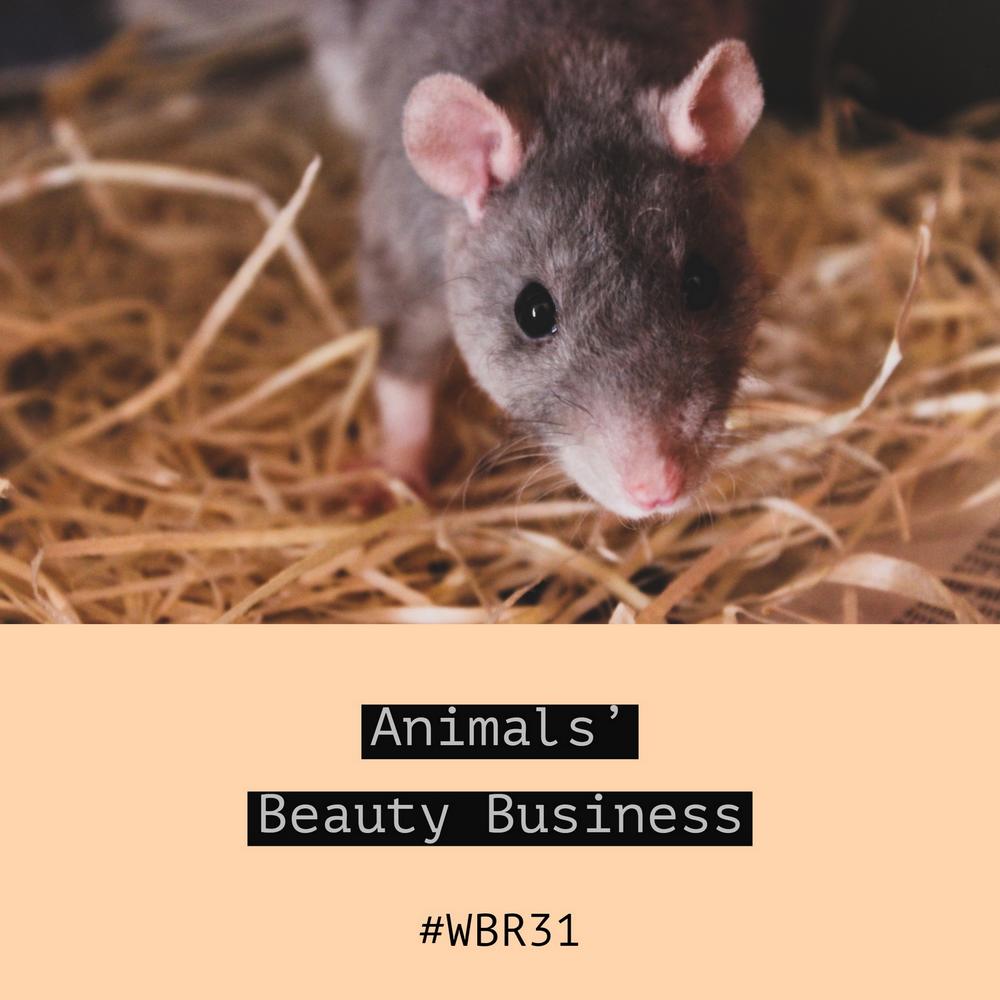 animals-beauty-business-waschbärenreport-kosmetik-vegan-Tierversuche-cruelty-free-the-ordinary-hourglass-schmidts-naturals