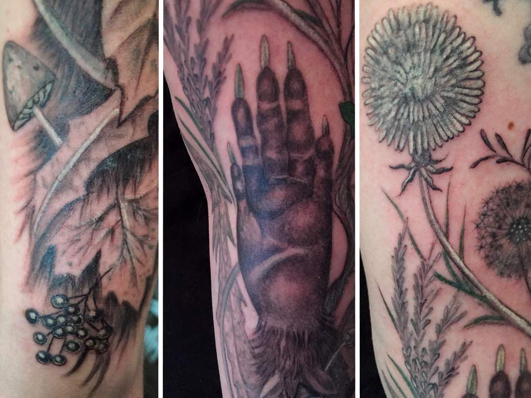 vegan tattoo erbse waschbär gurke horrortattoo märz 2015 direkt nach tätowieren vernarbt narben tätowierung horror
