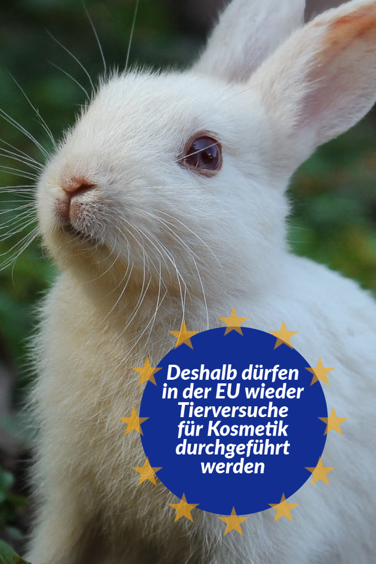 EU Europa Tierversuche animal testing reach symrise echa kosmetik cruelty free