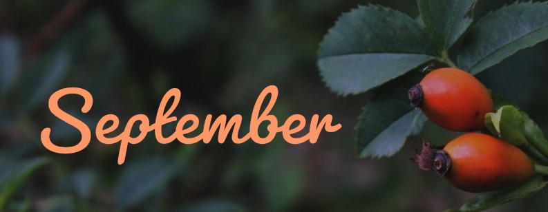 September